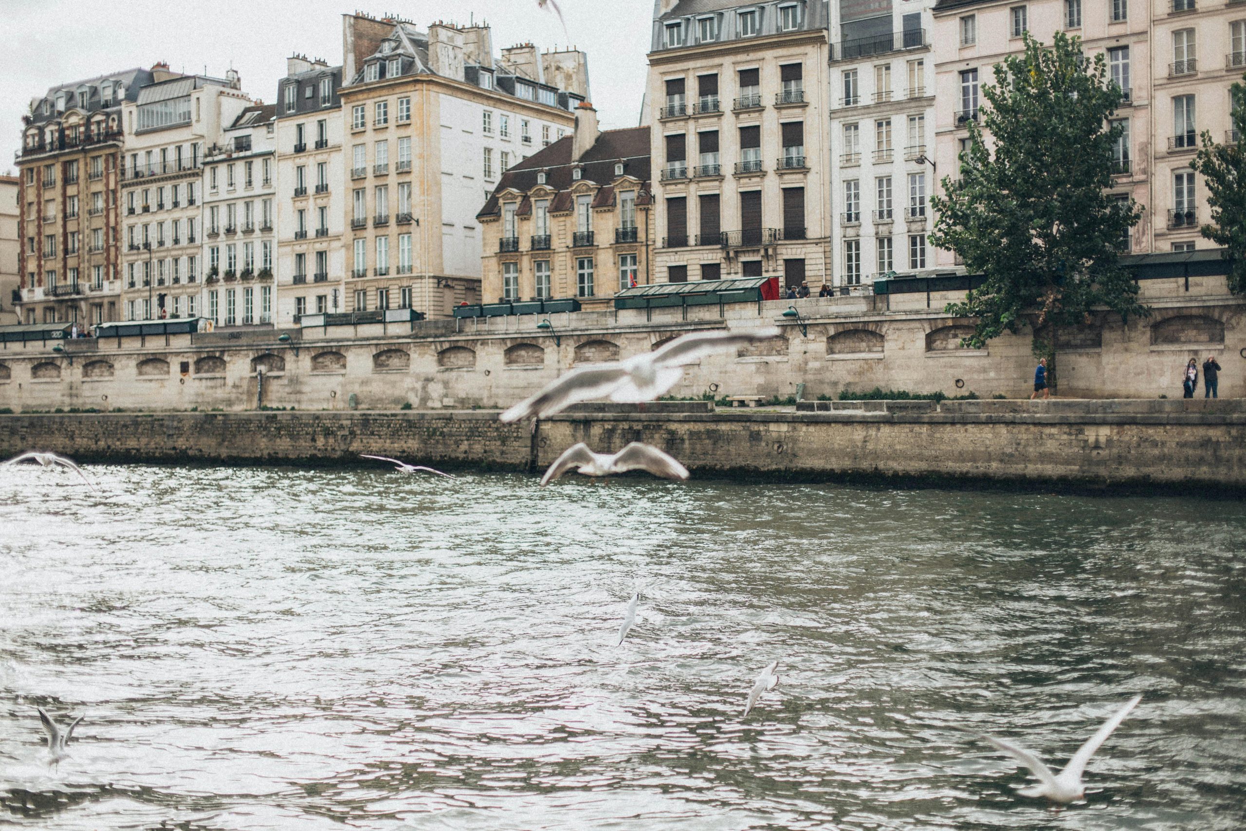 Mandarin Oriental Lutetia, Paris – Junior Suite – Stylish Suite with Comfortable Living Area